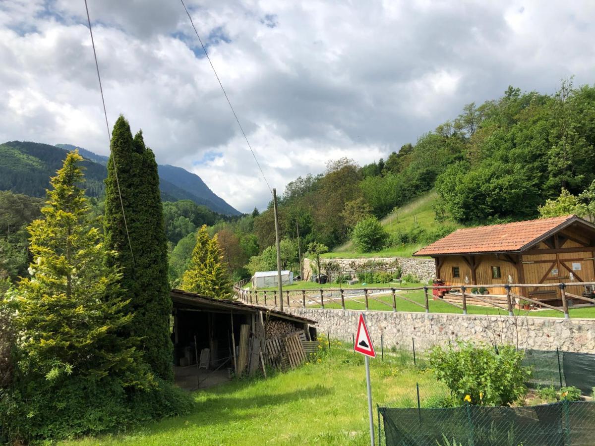Trentino I